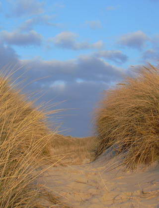 Kontakt: Blick auf das Meer